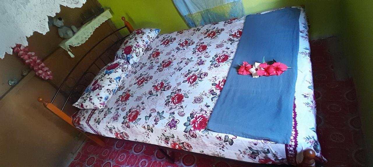 Yasawa Homestays Naisisili Bagian luar foto