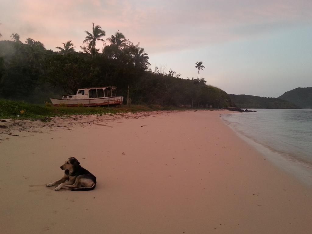 Yasawa Homestays Naisisili Bagian luar foto