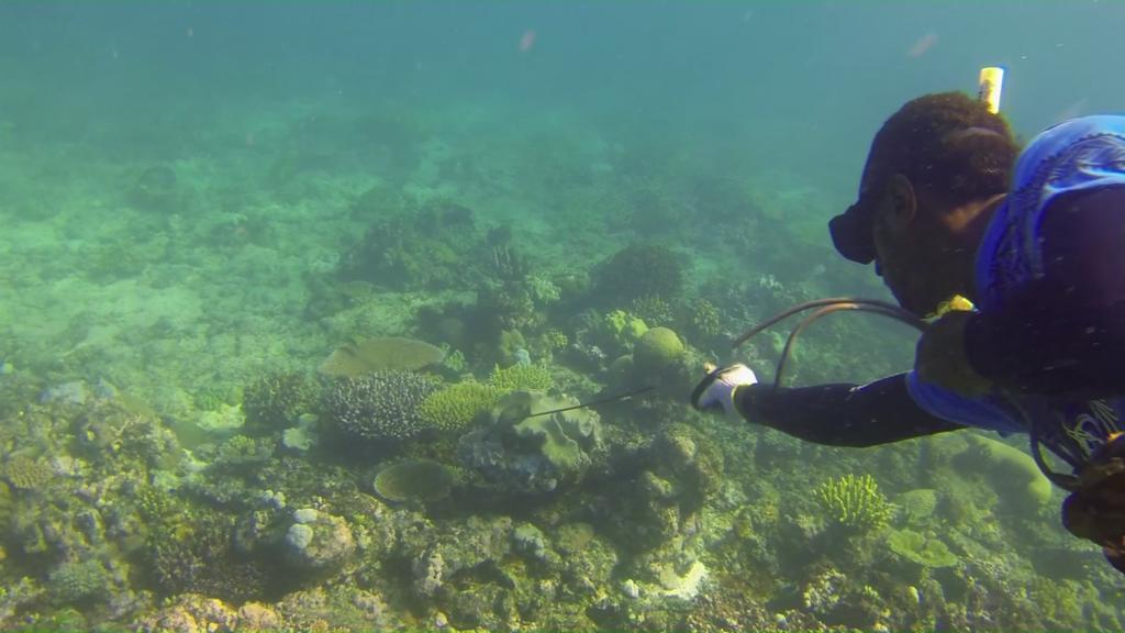 Yasawa Homestays Naisisili Bagian luar foto
